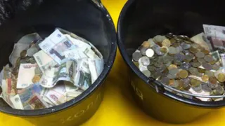 В Нижнекамске продолжается сбор денег в помощь бездомным животным