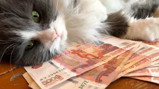Россиянам рассказали о перерасчете пенсий в 2026 году - вот на сколько увеличат