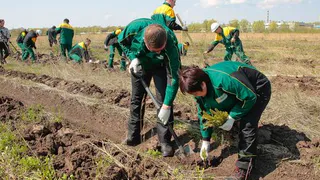 ТАНЕКО озеленяет Нижнекамск