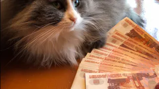 Кому поднимут пенсии в декабре: 3 категории россиян - проверьте, есть ли вы в списке