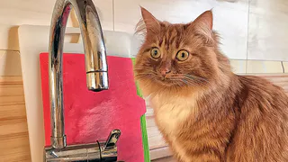 И вновь в Нижнекамске отключают горячую воду