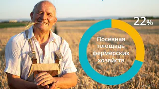 В Татарстане доля посевной площади фермерских хозяйств возросла за последние 15 лет до 22%