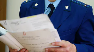 Проблему с бездомными собаками помогла решить прокуратура Нижнекамска 