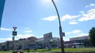 «Светофора из-за дерева не видно»