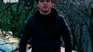 История иностранца: попал в ДТП, сдался автоинспекторам и предъявил поддельные права