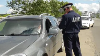 Проверка: машины пропустили через «Тоннель» 