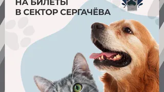 Поменяй корм на билет в «Сектор Сергачёва» 