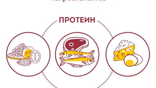 Для чего организму нужен белок?