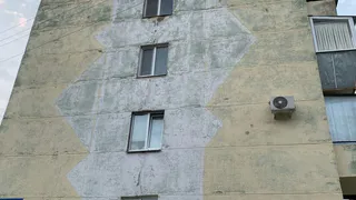 Нижнекамцы живут в холодных квартирах и с тараканами