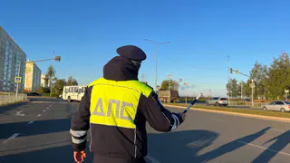 В Нижнекамске 31 октября пройдёт операция «Тоннель»: ГИБДД усилит контроль за водителями
