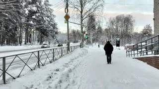 Умные и вдумчивые люди перестают общаться с другими - и вот почему: психолог назвал 5 причин