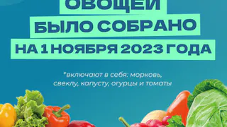 По 62 кг на жителя республики: в Татарстане собрано 248 тыс. тонн овощей