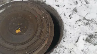 Нижнекамцев просят перестать превращать люки в столовые для бездомных животных