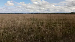 В Нижнекамском районе успешно убрали весь урожай зерновых культур