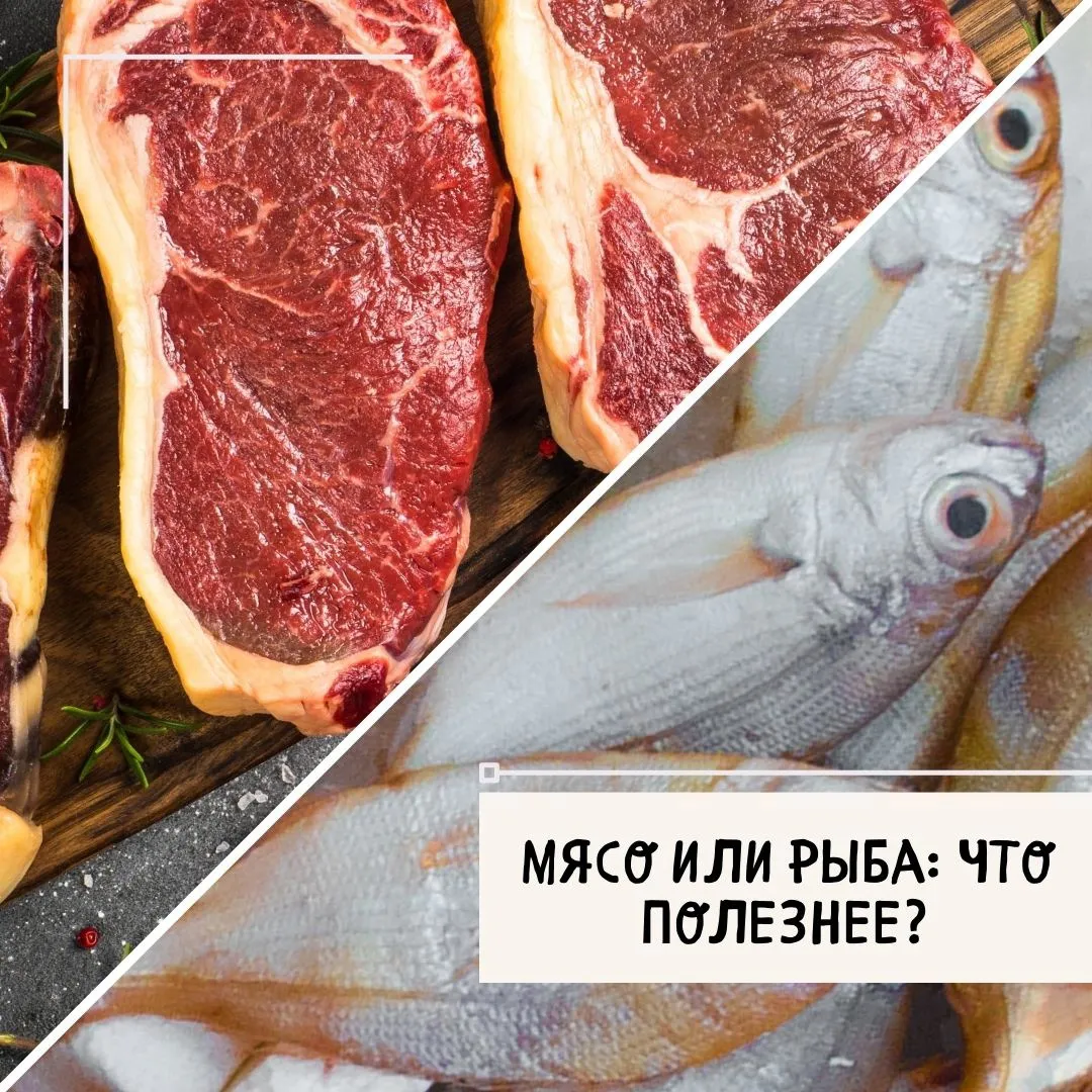 Мясо или рыба: что полезнее?
