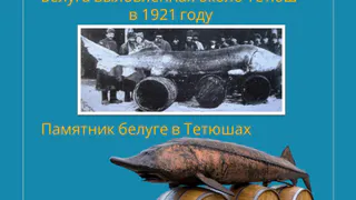 Полезно знать: единственный памятник в Европе, посвященный знаменитому улову, установлен в Тетюшах
