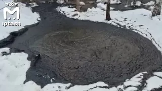 В лесу на границе Менделеевского района прорвало трубу подразделения "Татнефти"