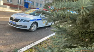В Нижнекамске за 3 месяца произошло 38 ДТП