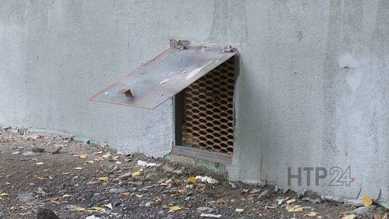 В Нижнекамске кошки оказались замурованы в подвале дома
