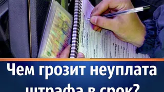 Автоинспекторы напомнили нижнекамцам, чем грозит неуплата штрафа в срок