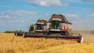 В Нижнекамском районе завершена уборка зерновых