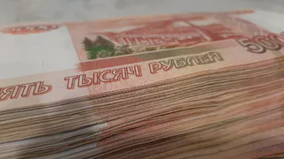 Директора «Племконзавод «Казанский» подозревают в аферах на 9 млн рублей