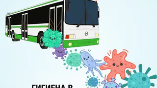 В автобус с перчатками, не прикасаться к дверям, обрабатывать руки антисептиком