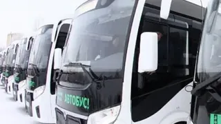 «Когда запустят рейсовый автобус по проспекту Шинников?»