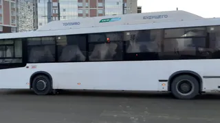 Автоинспекторы Нижнекамска проверили 80 автобусов