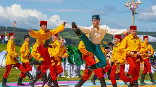 Конные скачки, выставки и состязания