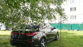 Наводят порядок в городе: одиннадцать нижнекамцев оштрафовали за парковку на газоне