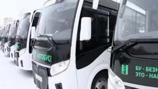 «Простояли 40 минут, проехал автобус, не остановился»