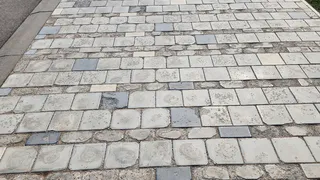  «На протяжении всей дороги такая картина»