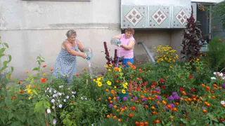  «Ведро воды не жалко»: нижнекамцы придумали необычную акцию 