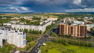 В Нижнекамске закупили деревьев и кустарников на 12 млн рублей
