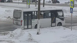 «Из-за водителя, который проехал мимо, мой сын опоздал в школу»»