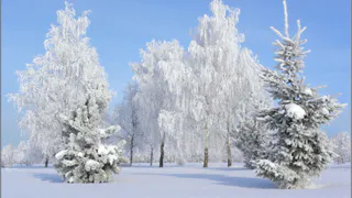 На Татарстан надвигаются холода до -28°С
