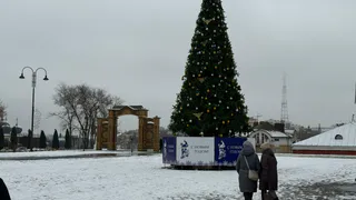 Нижнекамцам напомнили о штрафах за срубленную ёлку