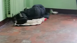 Даже полиция бессильна: нижнекамцы не знают, как выселить бомжа