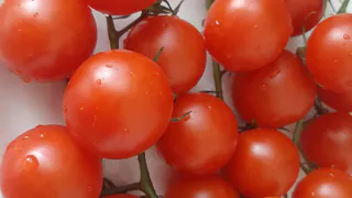 Овощи июня: витаминное разнообразие
