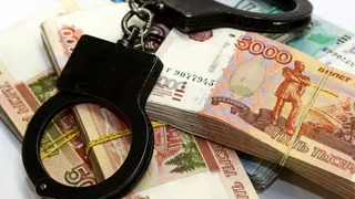 В Татарстане бизнесмен скрыл от налоговой 240 млн рублей