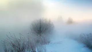 Похолодает до -12°, без осадков, зато туман