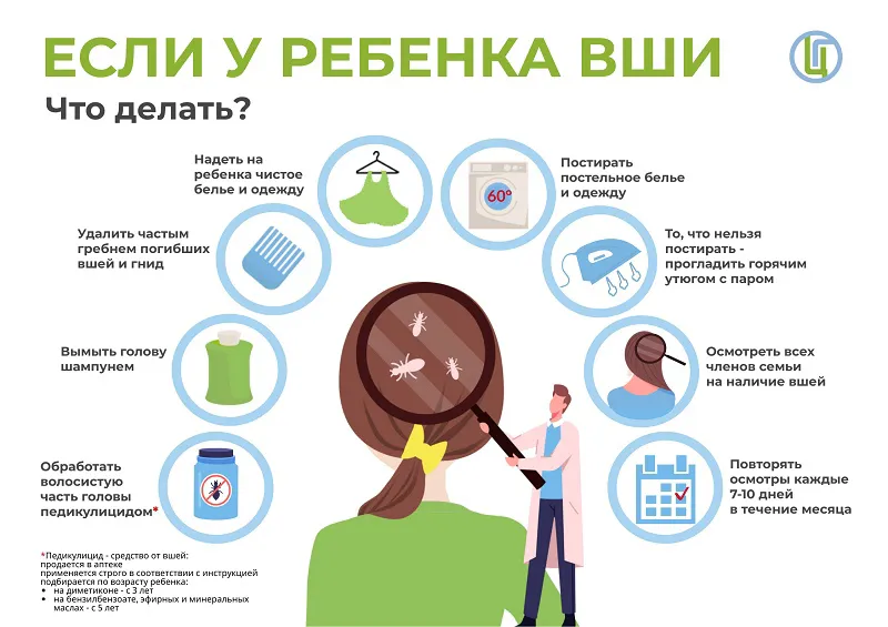Что делать, если у ребенка вши?