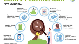 Что делать, если у ребенка вши?