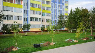 В Нижнекамске завершается акция «Зелёная волна»