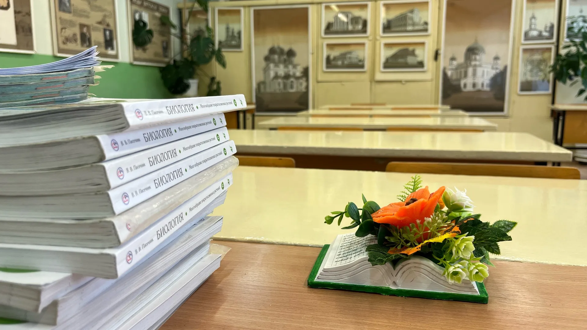 Мыши в школах Челнов: прокуратура наказала лицей и центр образования