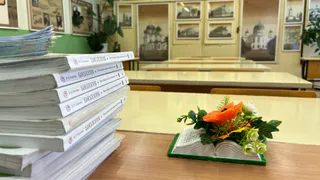 Мыши в школах Челнов: прокуратура наказала лицей и центр образования