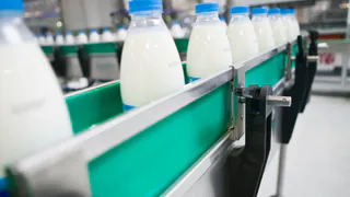 В Нижнекамске запустят завод молочных продуктов по турецким рецептам