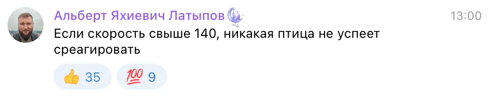 Куропатки на трассе: девушка из Казани на скорости 200 км/ч сбила стаю птиц — две застряли в радиаторе