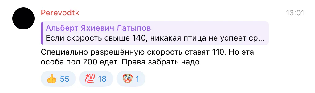 Куропатки на трассе: девушка из Казани на скорости 200 км/ч сбила стаю птиц — две застряли в радиаторе